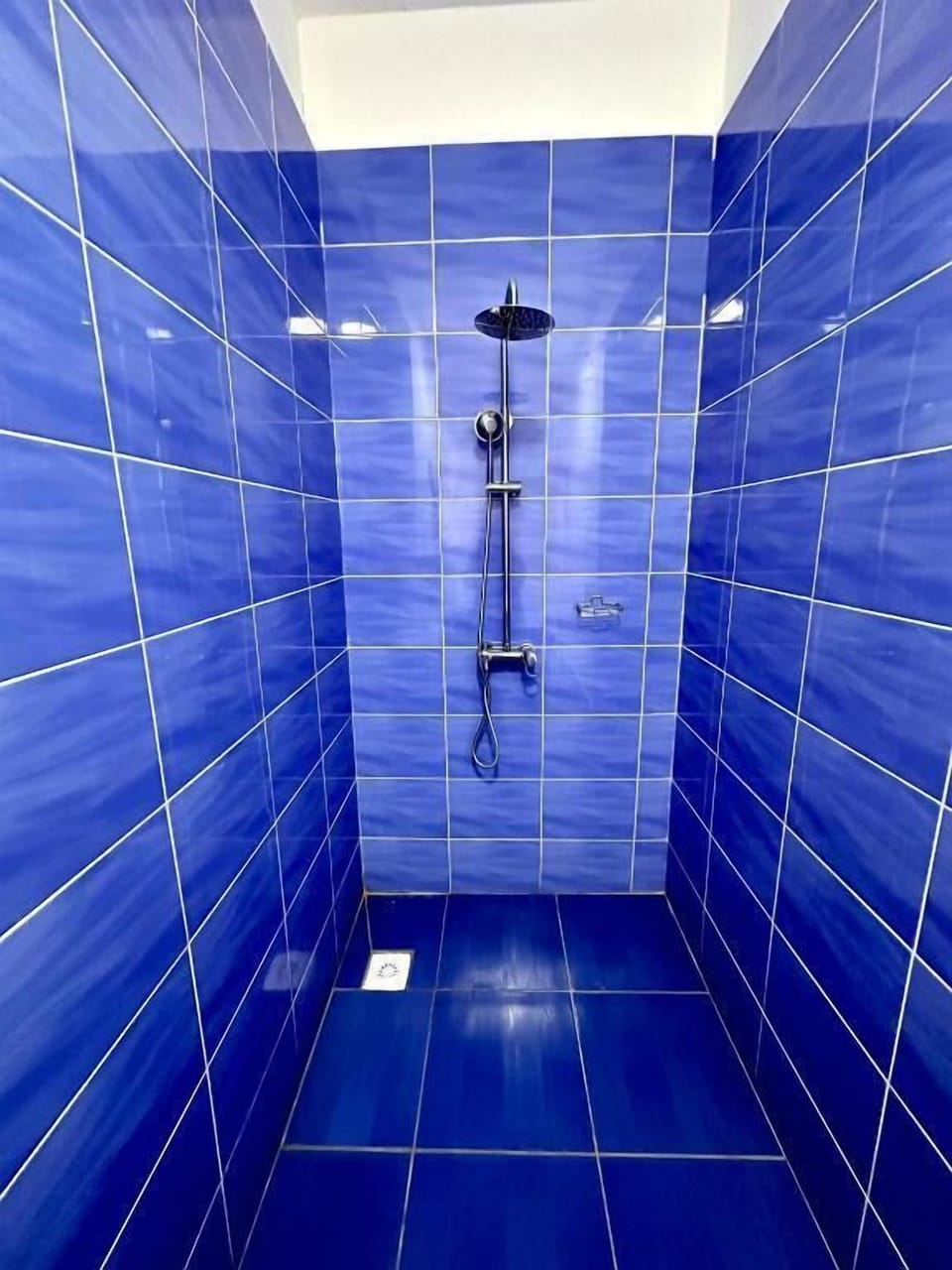 Shower, free toiletries, hair dryer (on request), towels