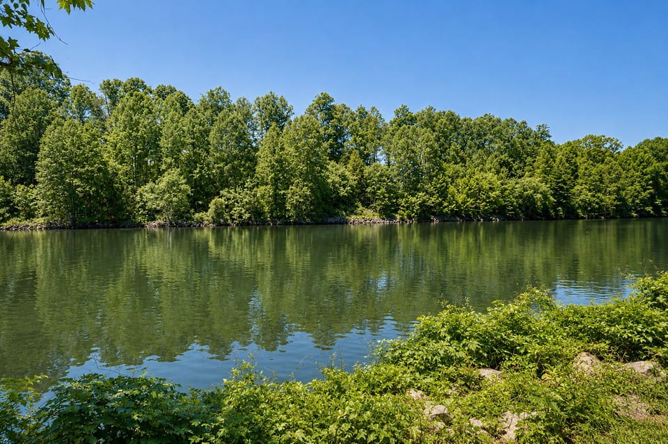 Lake
