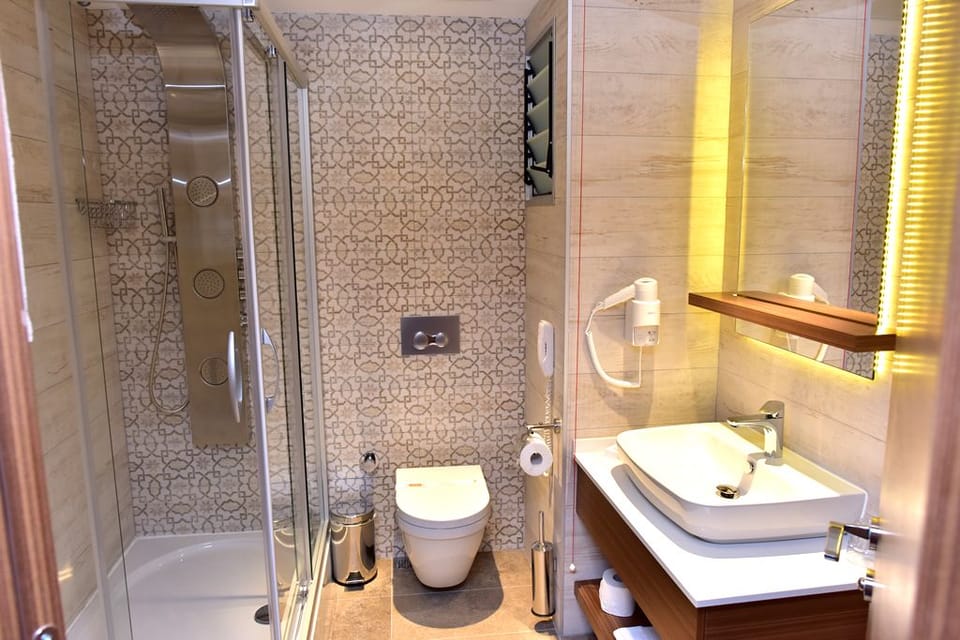 Standard Double or Twin Room | Bathroom | Shower, free toiletries, hair dryer, bathrobes