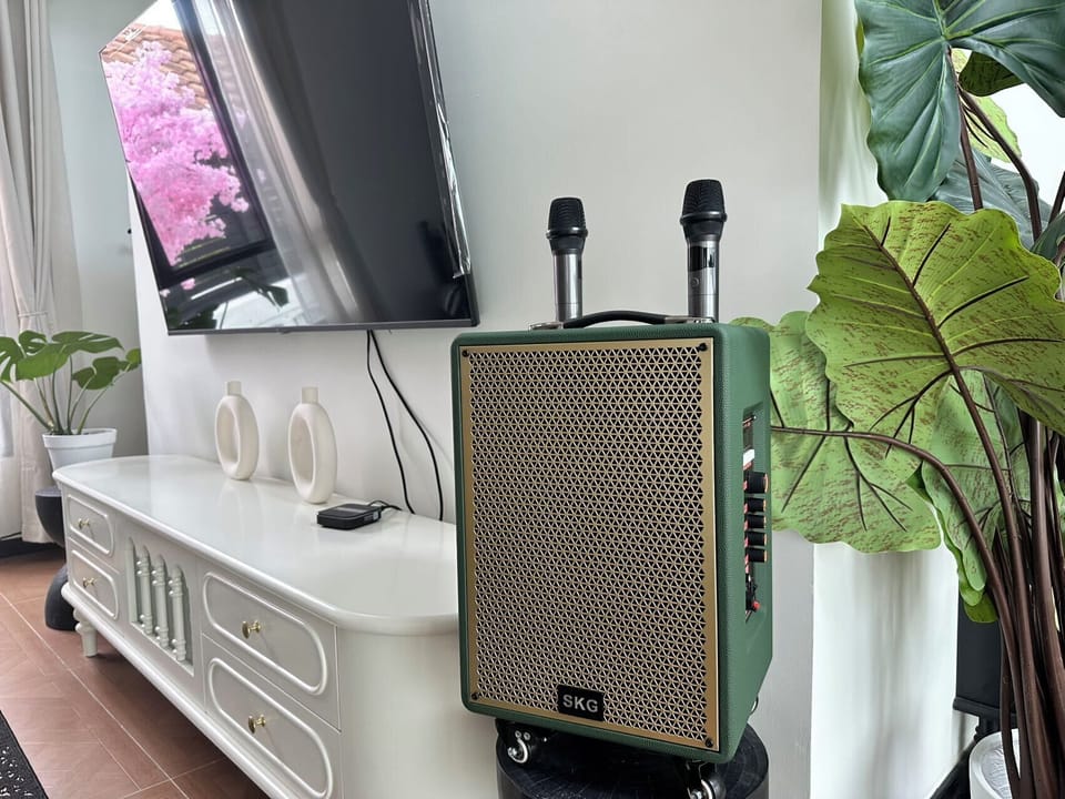 Television