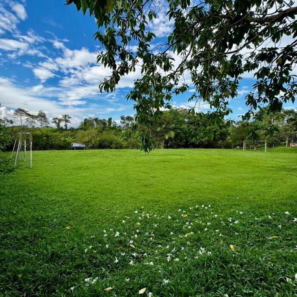 Outdoor wedding area
