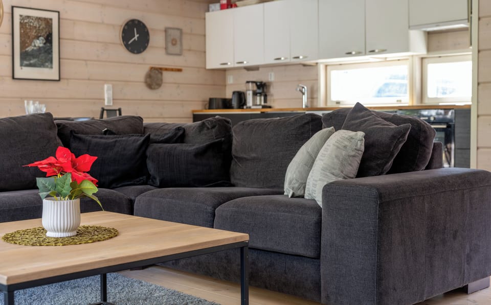 Comfort Apartment, 3 Bedrooms, Sauna | Living area | 60-inch Smart TV with cable channels