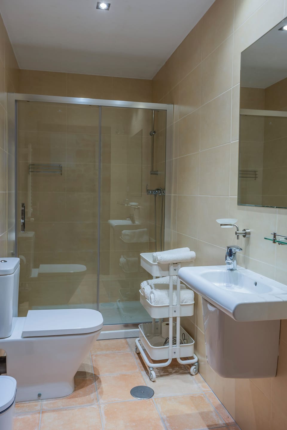 Double or Twin Room | Bathroom | Shower, towels, soap, shampoo