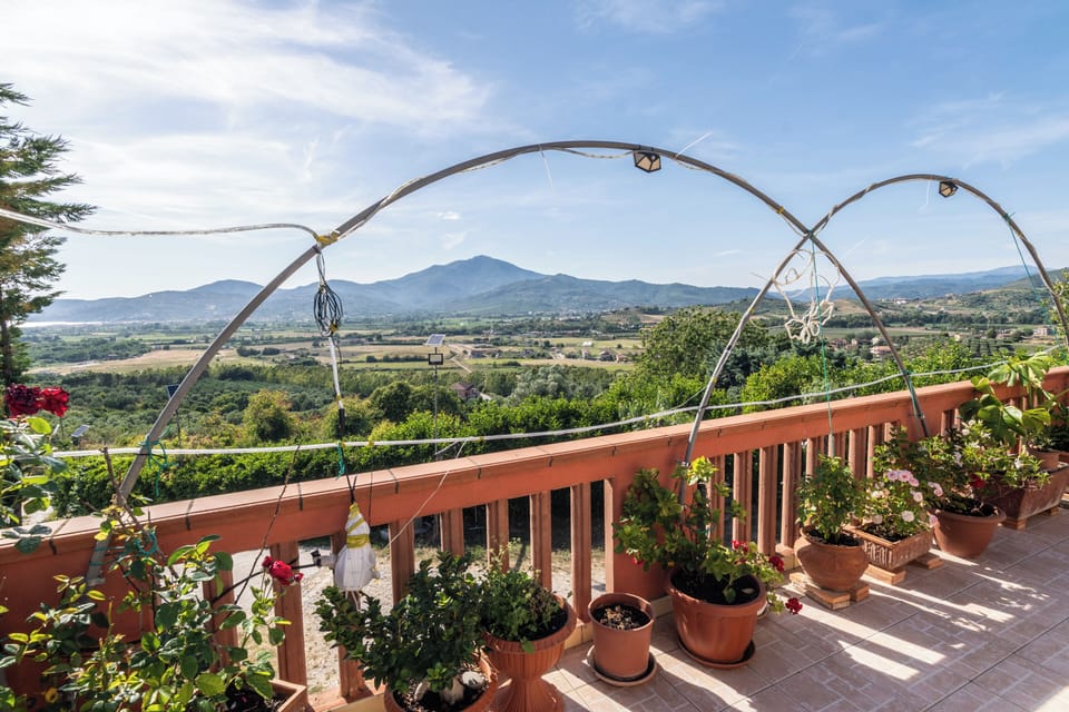 Apartment, Garden View | Property grounds