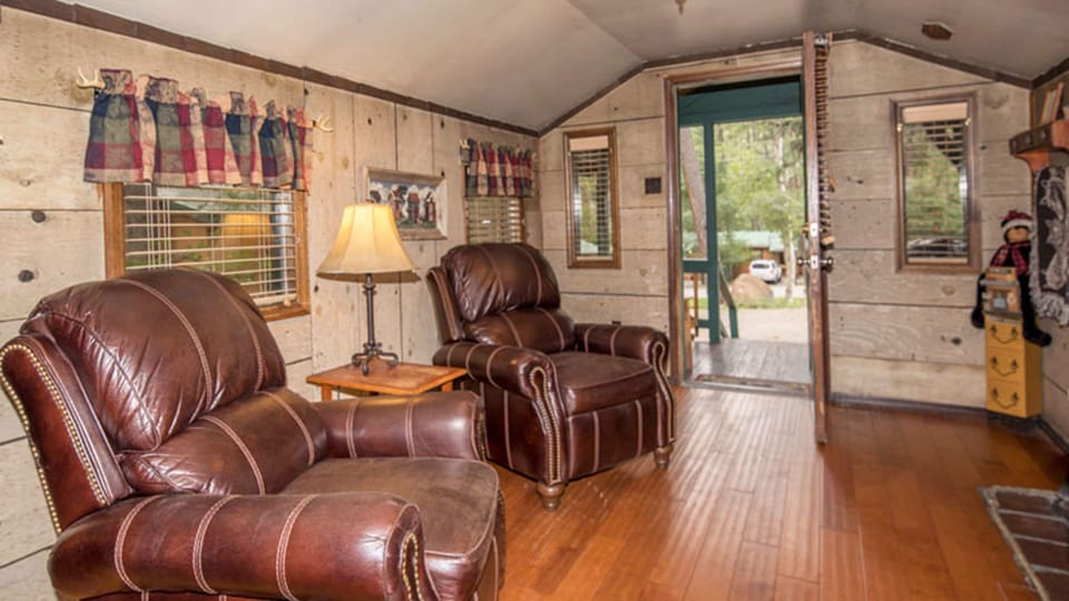 Juniper | Living area | 36-inch flat-screen TV with digital channels, TV, fireplace