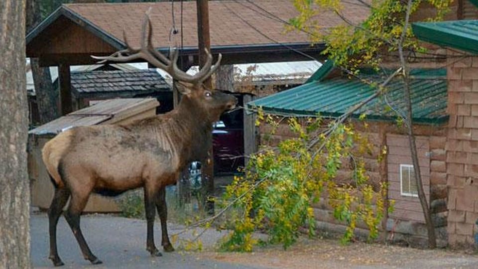 Bears Way | Property grounds