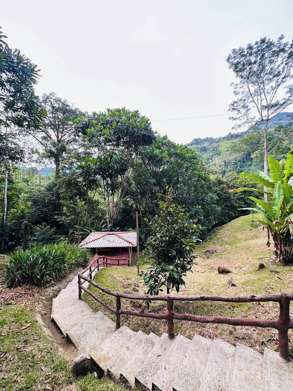 House, 2 Bedrooms, Smoking, Patio | Property grounds