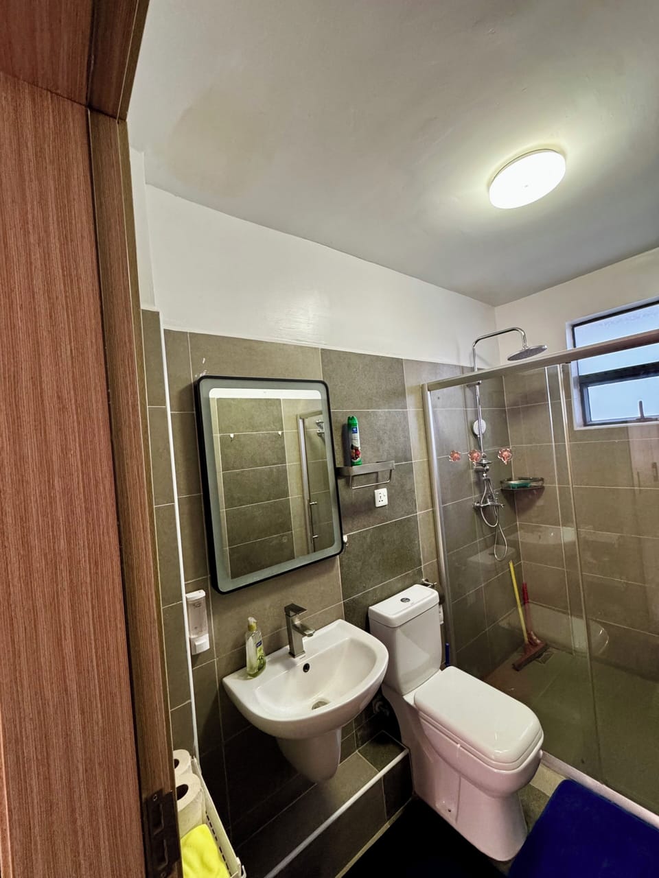 Superior Apartment, Private Pool | Bathroom | Free toiletries, hair dryer, slippers, towels