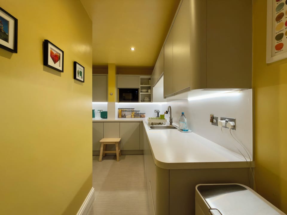 Deluxe Apartment, City View | Private kitchen | Fridge, microwave, oven, stovetop