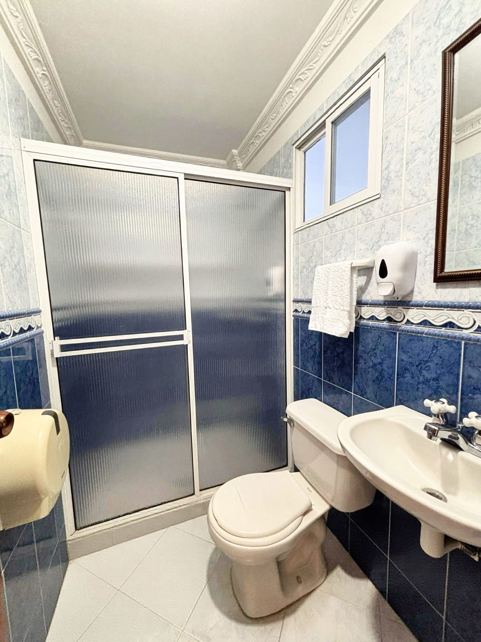 Towels, soap, shampoo, toilet paper