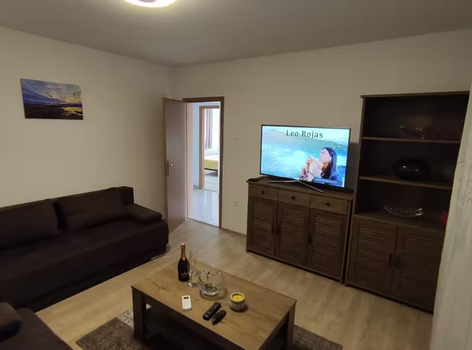 Apartment (Two Bedroom Apartment with Balcony an) | Living room | 32-inch flat-screen TV with cable channels