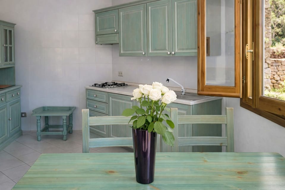 Fridge, microwave, stovetop, cookware/dishes/utensils