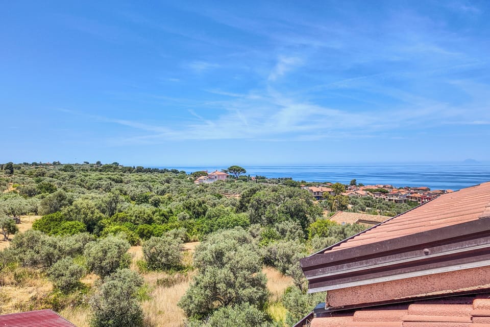 Apartment, City View | View from property