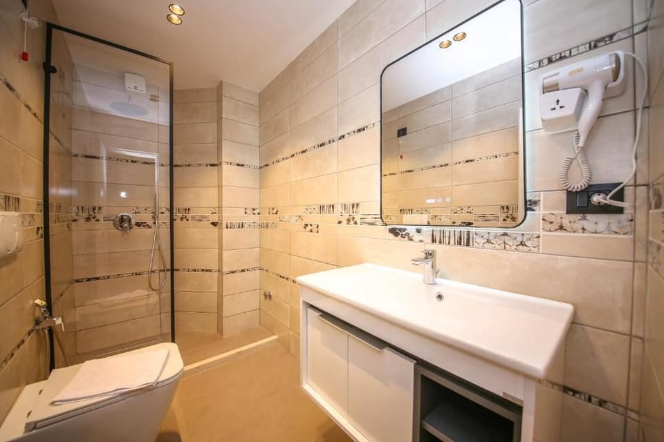 Deluxe Double Room | Bathroom | Shower, hair dryer, towels, toilet paper