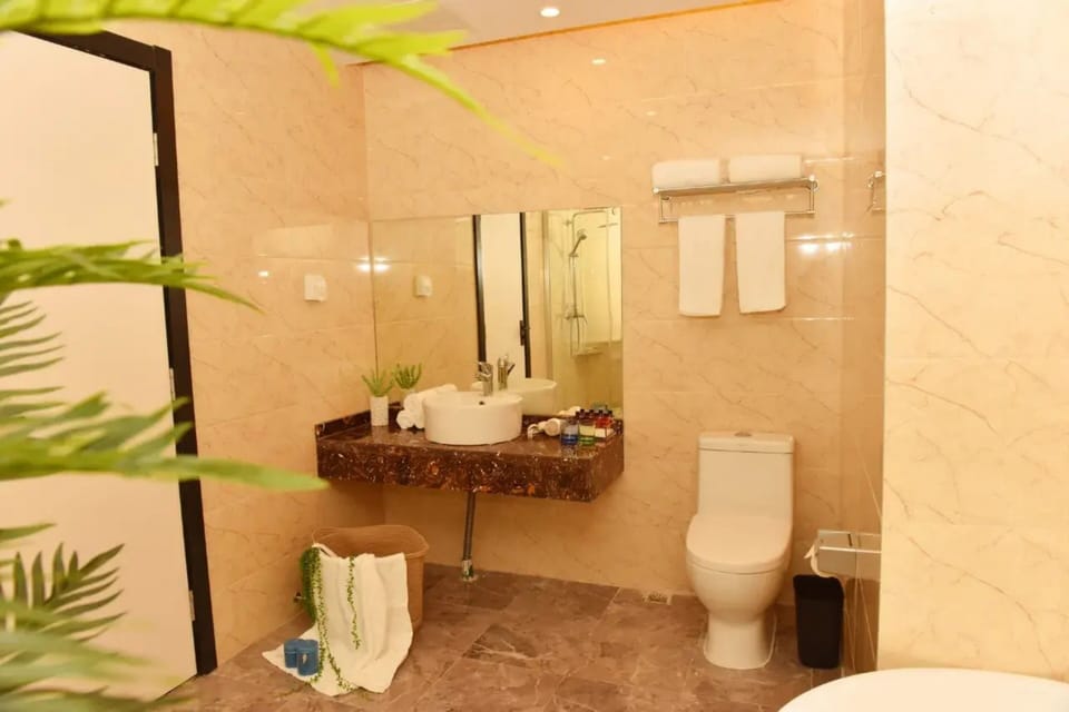 Luxury Double Room | Bathroom | Hair dryer, towels, soap, shampoo