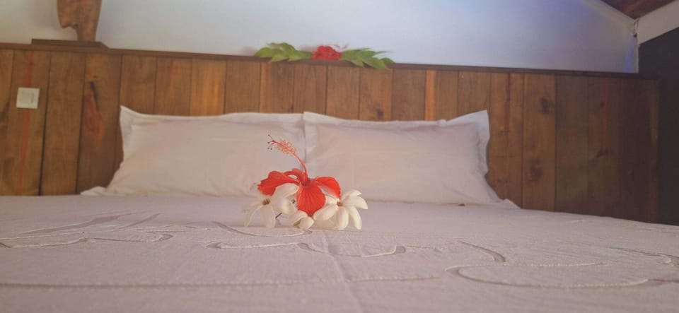 Comfort Double Room, Pool View | Laptop workspace, free WiFi