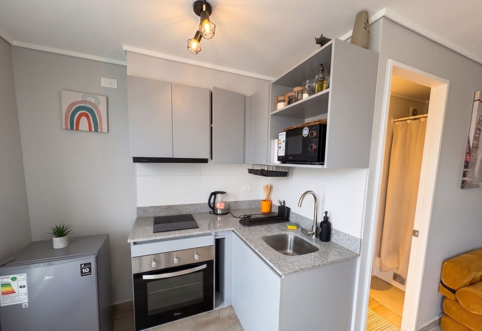 Studio | Private kitchen | Fridge, microwave, oven, cookware/dishes/utensils