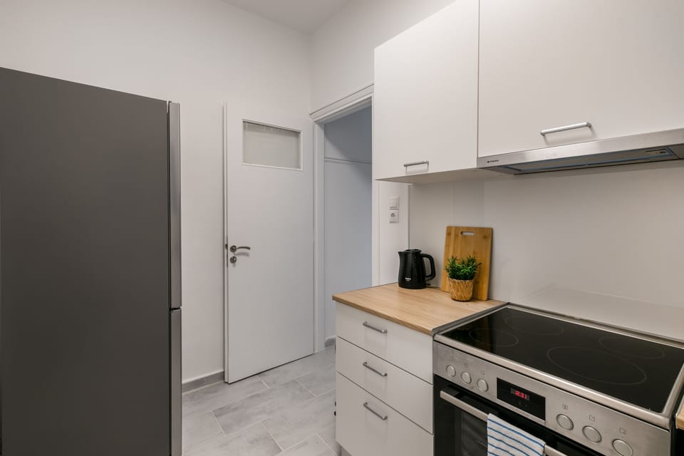 Apartment, 1 Double Bed with Sofa bed, Kitchen, City View | Private kitchen | Espresso maker, coffee/tea maker, full-size fridge, oven