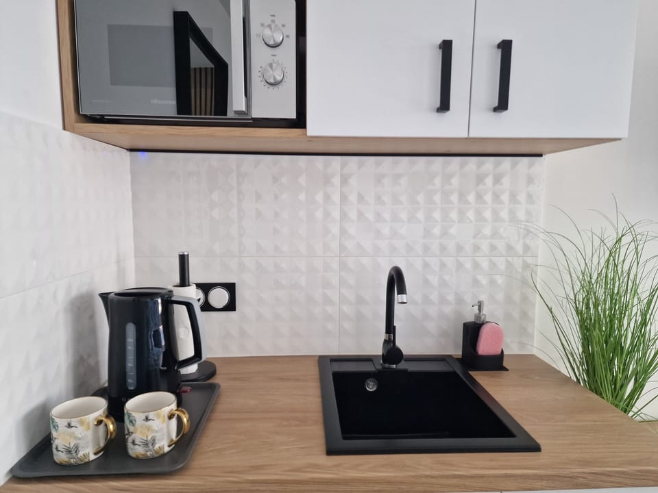 Comfort Double Room, Ground Floor | Private kitchen | Fridge, microwave, cleaning supplies, paper towels
