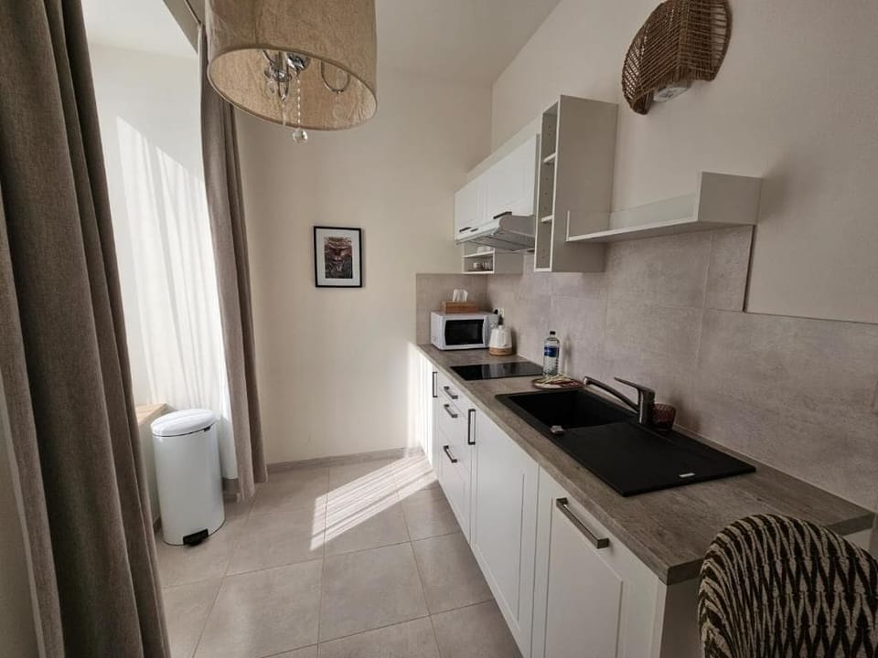 Standard Apartment | Private kitchen