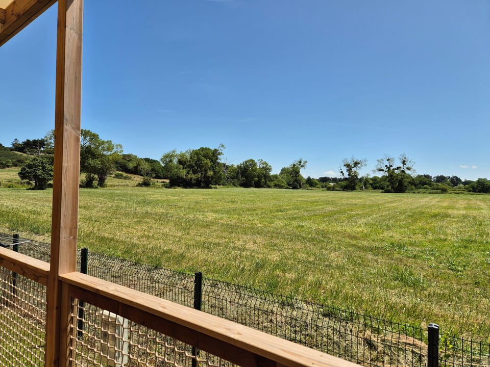 House | View from property