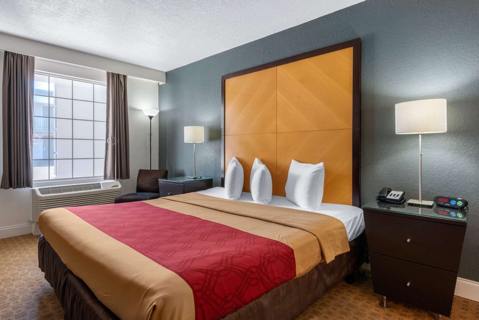 1 King Bed, No Smoking | Free WiFi, bed sheets