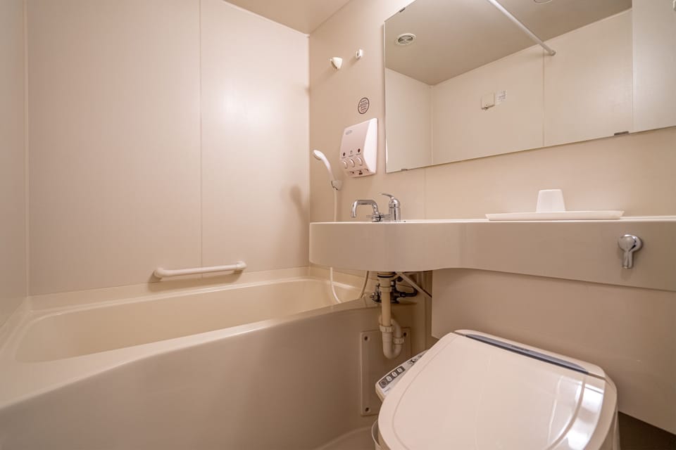 Combined shower/tub, free toiletries, hair dryer, towels