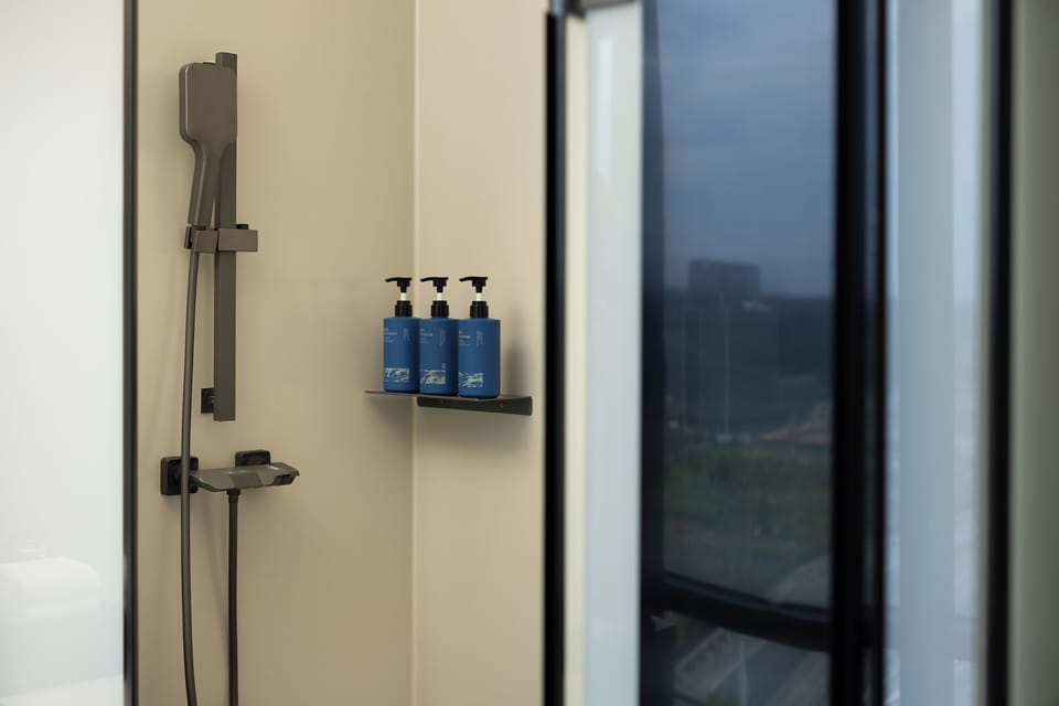 Business Double Room, City View | Bathroom | Shower, hair dryer, towels, soap