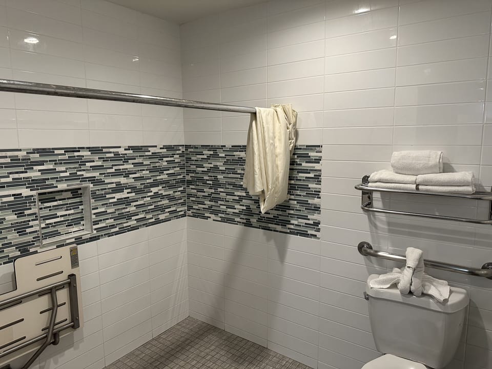 Room, 1 King Bed, Roll-in Shower | Bathroom | Shower, rainfall showerhead, free toiletries, hair dryer