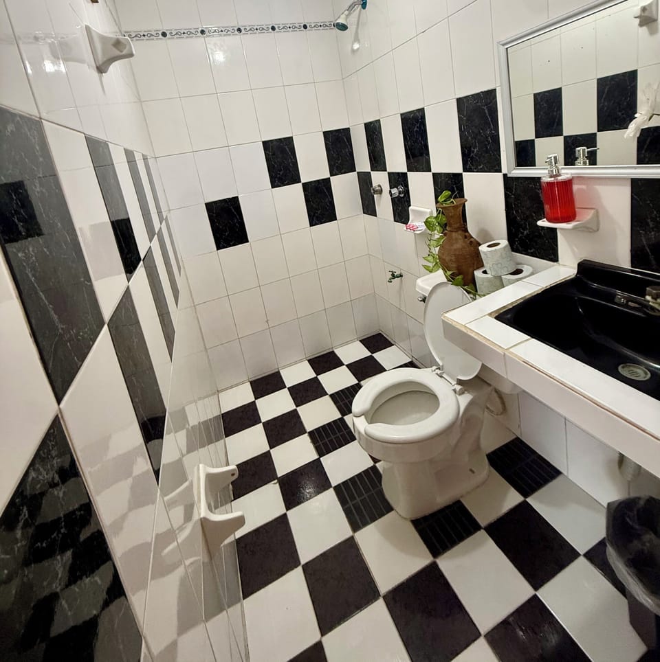 Shower, towels, soap, shampoo