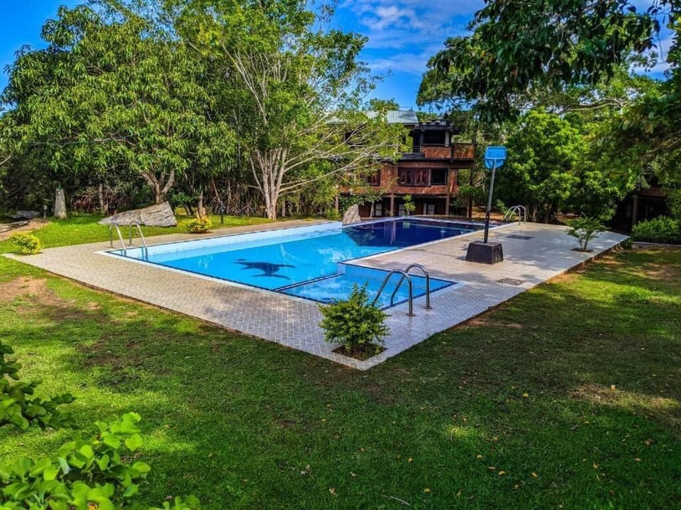 Outdoor pool, pool umbrellas