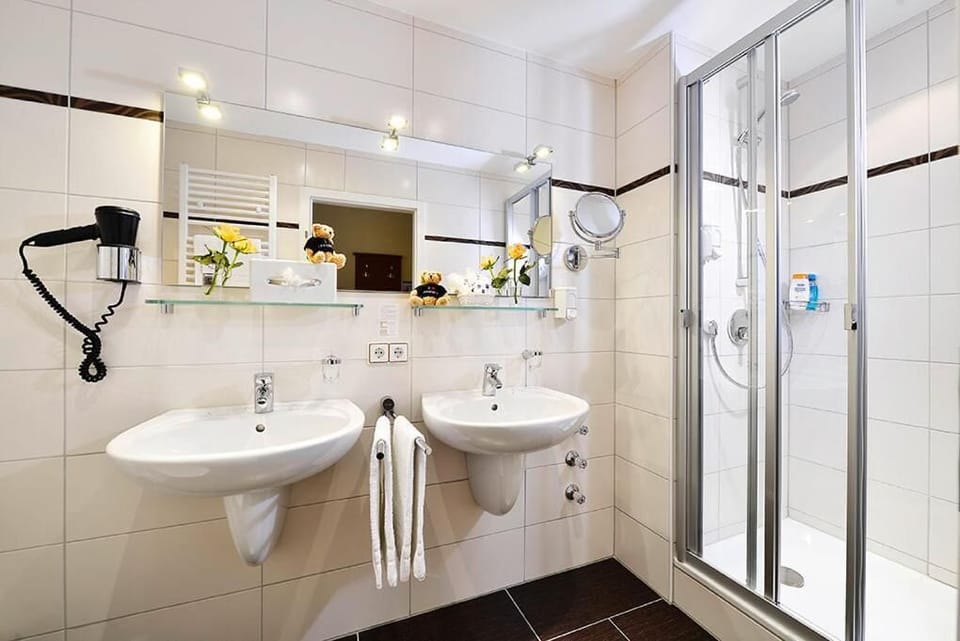 Shower, hair dryer, towels