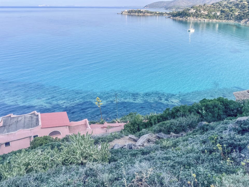 House, Garden View | Aerial view