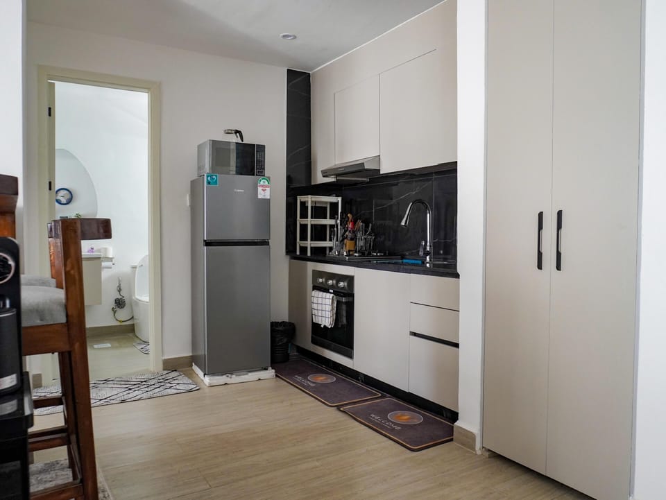 Classic Apartment, Balcony, City View | Private kitchen | Coffee/tea maker, full-size fridge, microwave, oven