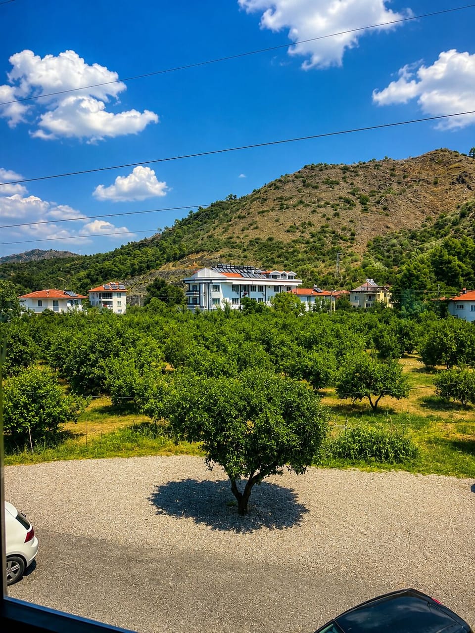 View from room