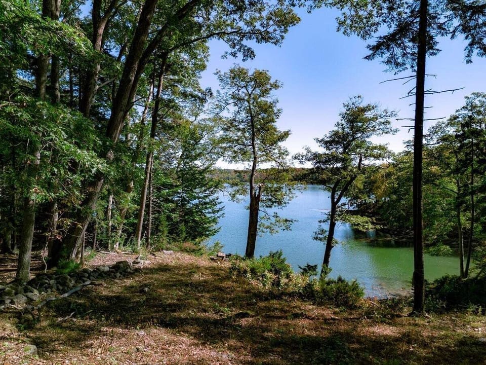 House, Multiple Beds (Settlers Cottage) | Water view