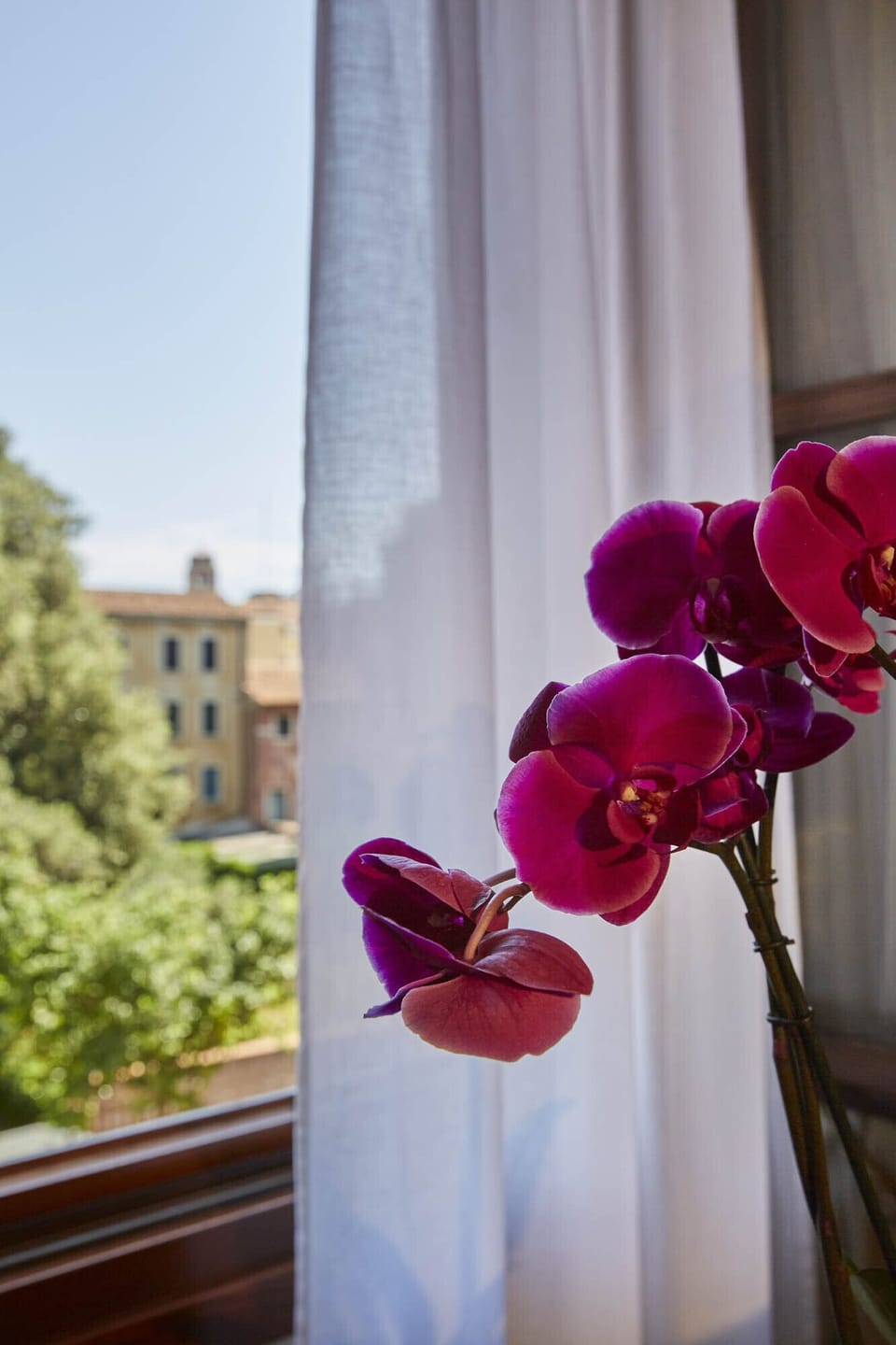 Standard Single Room | Minibar, in-room safe, desk, WiFi (free)