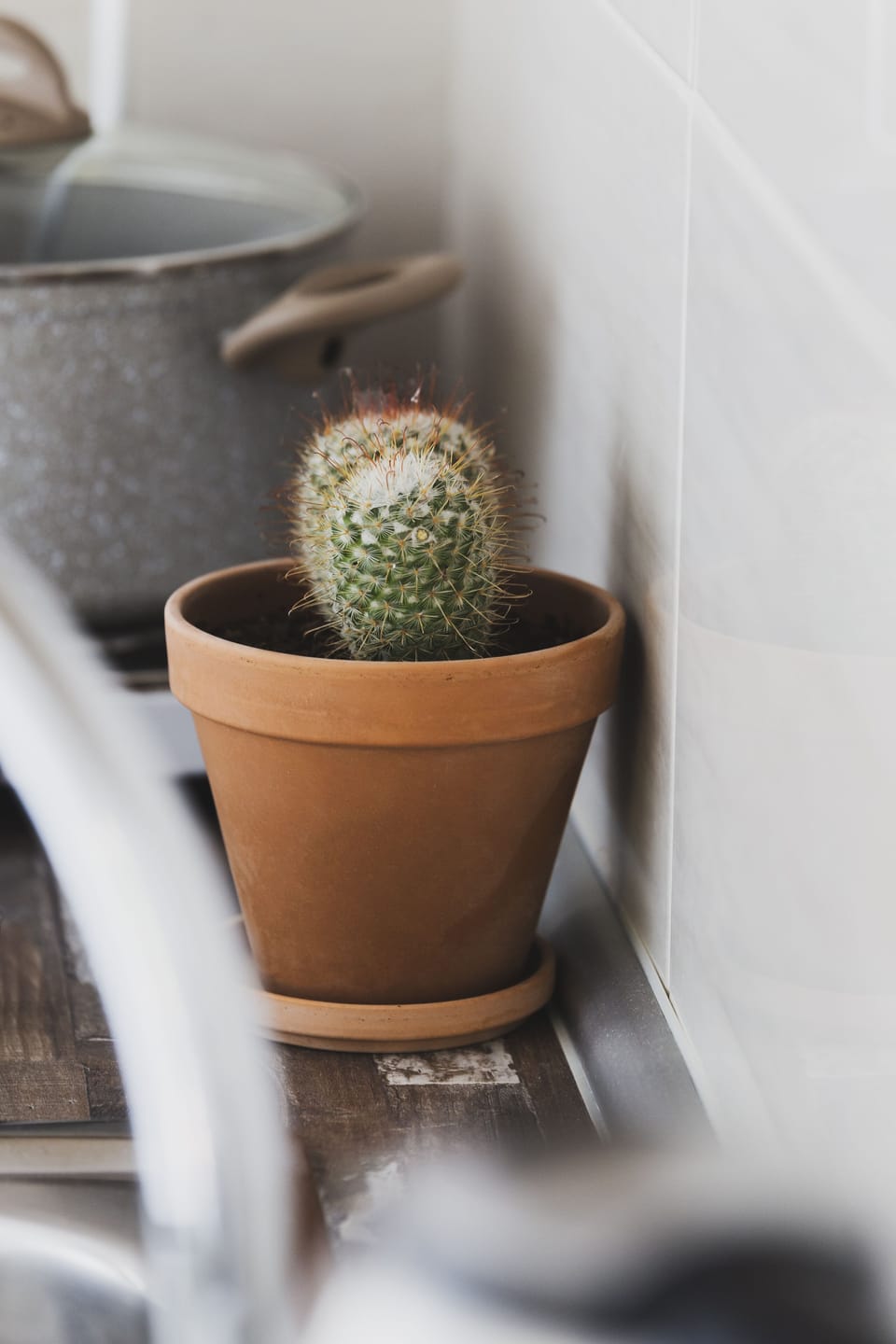 Soundproofing, iron/ironing board, free WiFi, bed sheets