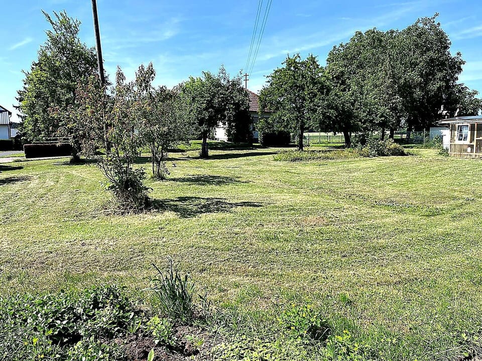 House | Garden
