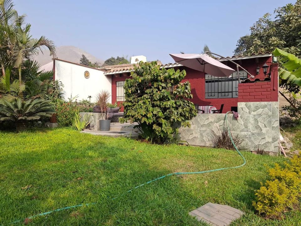 House | Property grounds