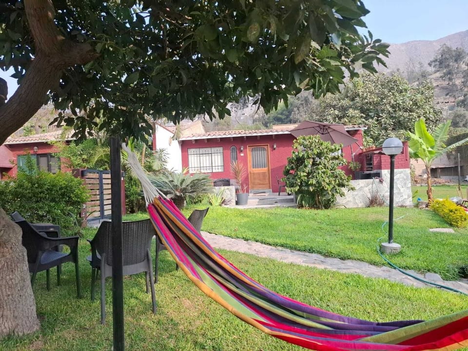House | Terrace/patio