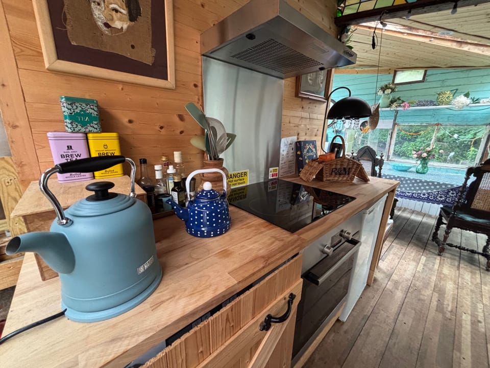 Fridge, oven, stovetop, electric kettle