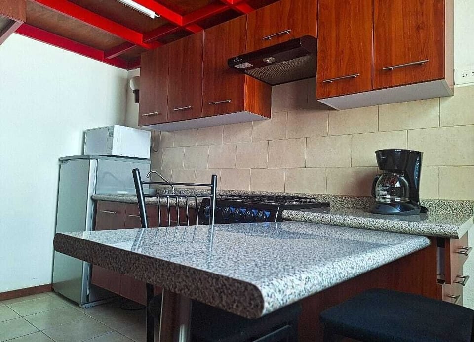 Business Loft, 1 Queen Bed with Sofa bed, Private Bathroom | Private kitchen