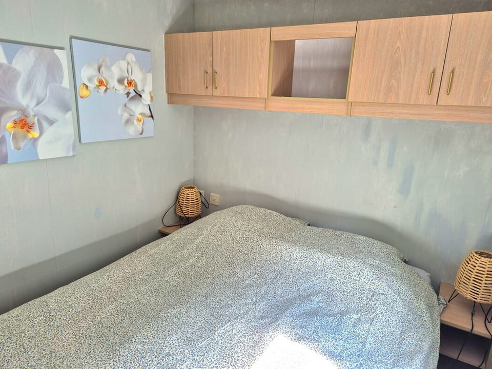 Cozy Holiday Home in Stegeren House in Overijssel (province)