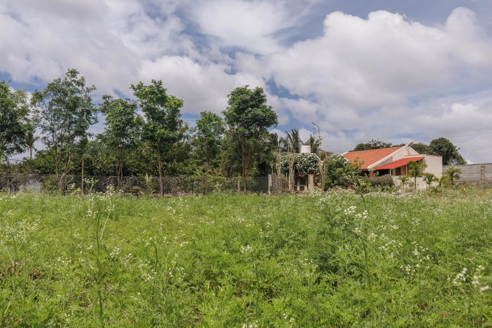 Villa (1 Bedroom) | Garden view