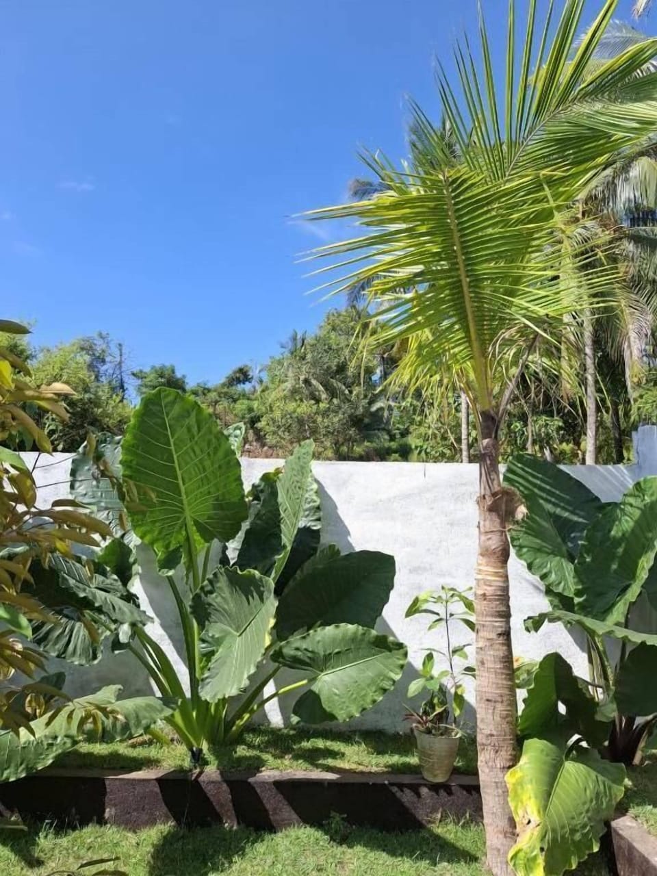 Deluxe Villa, Hill View | Property grounds