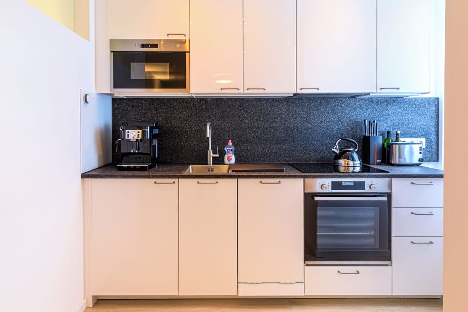 Deluxe Apartment | Private kitchen | Full-size fridge, oven, stovetop, cookware/dishes/utensils