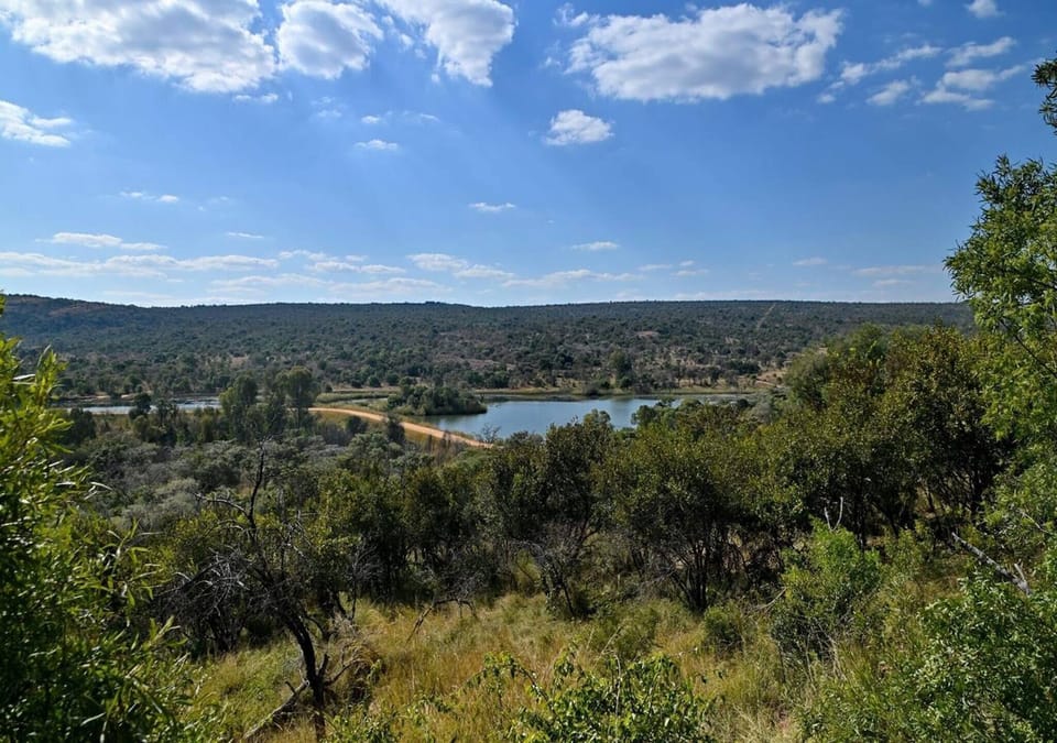 Cabin, 1 Bedroom, Patio | Miscellaneous