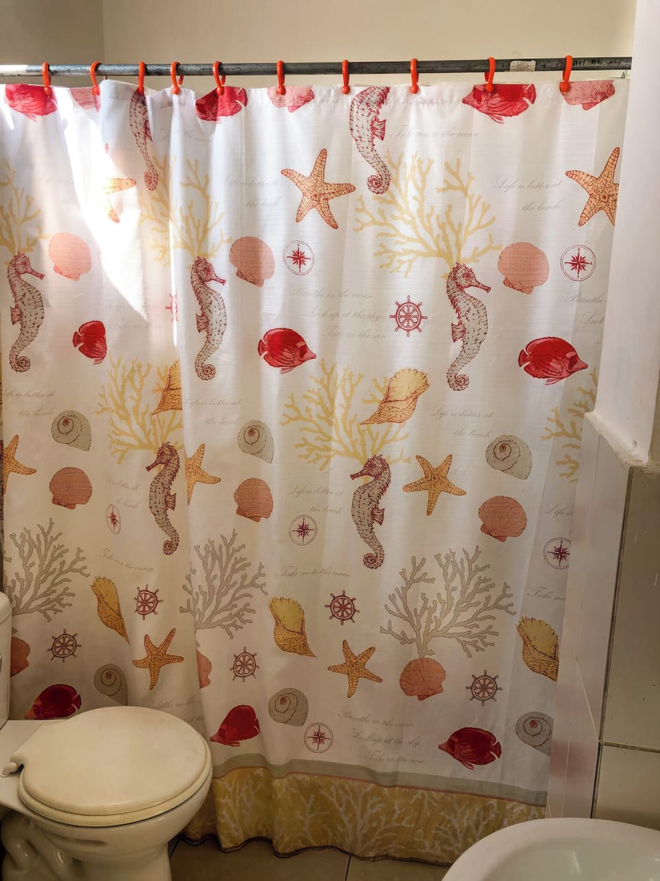 Classic Single Room, Pets Allowed, City View | Bathroom | Shower, towels, soap, toilet paper