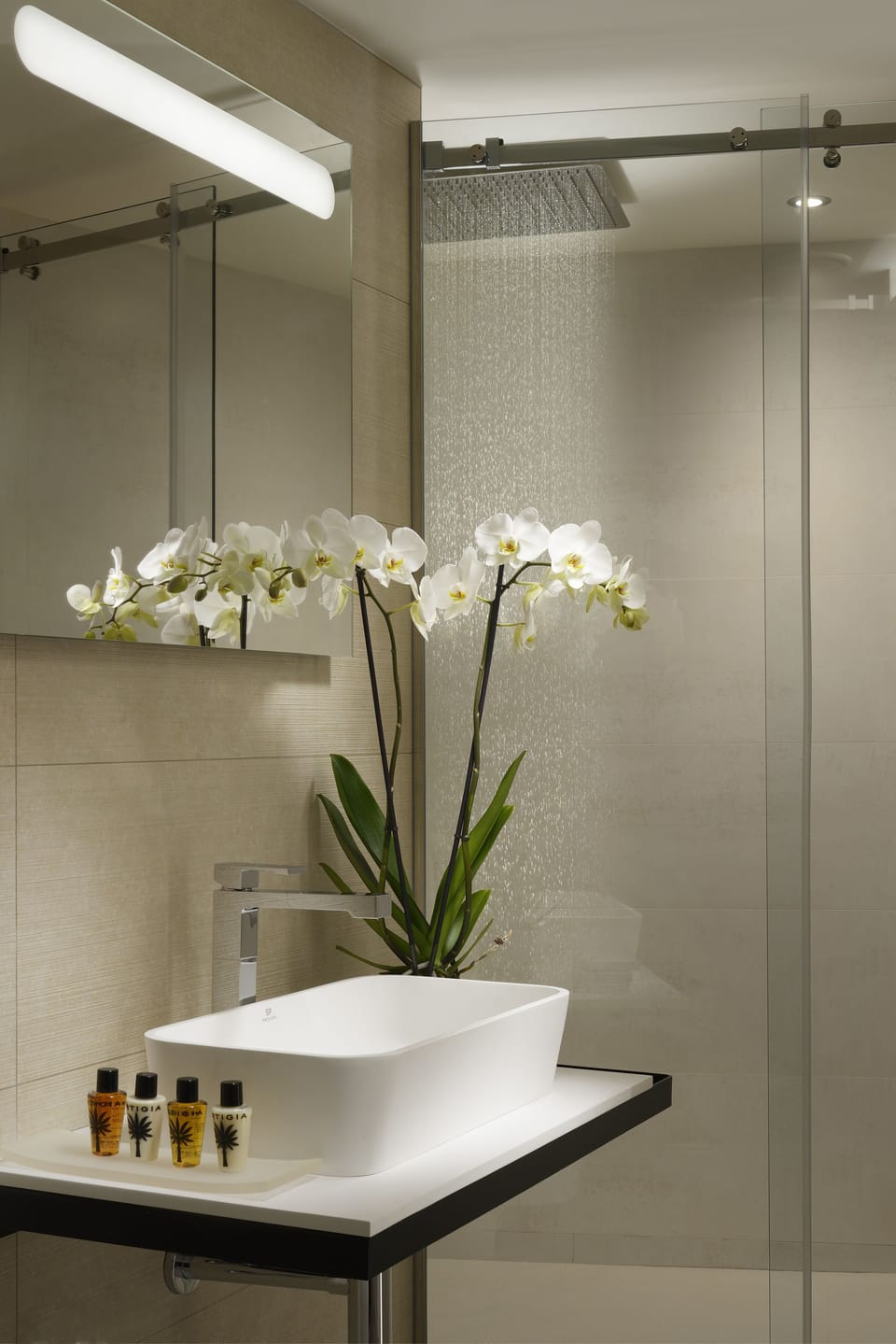 Superior Double Room | Bathroom | Shower, rainfall showerhead, free toiletries, hair dryer